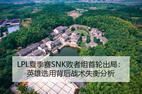 LPL夏季赛SNK败者组首轮出局：英雄选用背后战术失衡分析